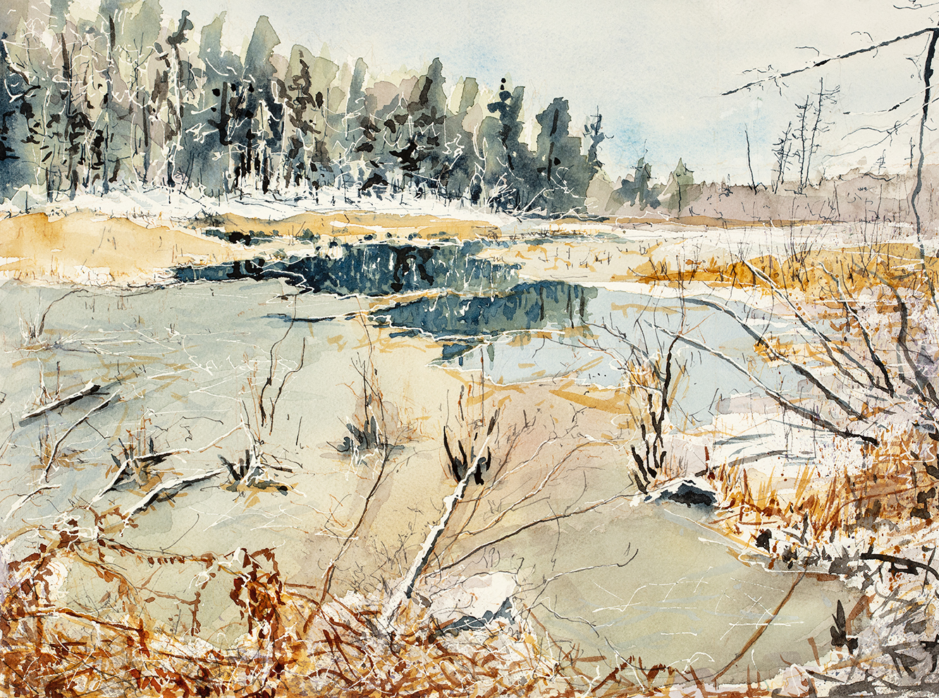 winter marsh